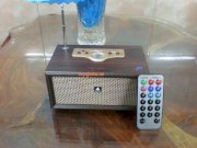 Loa  LOA TD-60 ( FM+remote )