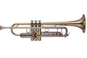 Saxophone YTR-8335