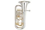 Saxophone YEP-842S