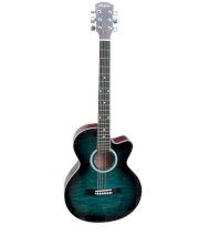Acoustic Guitar AGW3924C