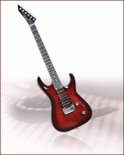 Electric Guitar HS-520(TYS)