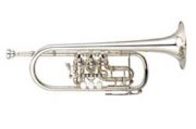 Saxophone YTR-946GS