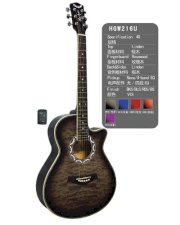 Acoustic Guitar AGW4016C