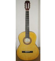  Classical Guitar AGW199