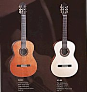 Classical Guitar BC-80\82 