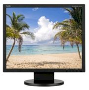 NEC AS191-BK Black 19inch