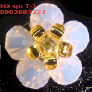 Bông tai pha lê Swarovskicrystal - T-01 hồng 