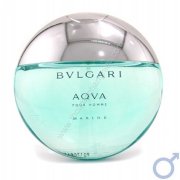 Bvlgari aqva pour homme marine eau de toilette 100ml TR91001