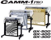 Roland Camm GX-300