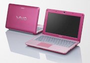 Sony Vaio VPC-W216AG/P (Intel Atom N450 1.66GHz, 2GB RAM, 320GB HDD, VGA Intel GMA 3150, 10.1 inch, Windows 7 Starter)