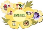 Phần mềm dinh dưỡng mầm non - Nutrikids