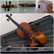 Violin VLM700