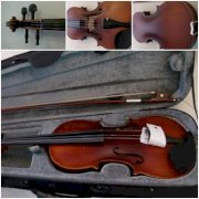 Violin VLE900 