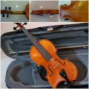 Violin VLP3000 