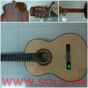 Guitar cổ điển CG-M256N