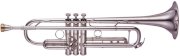 Kèn Trumpets YTR-8335RGS 