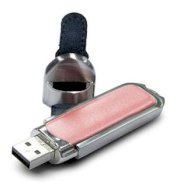 Centon DataStick Designer Executive 4GB DSD4GB-010 (Pink)