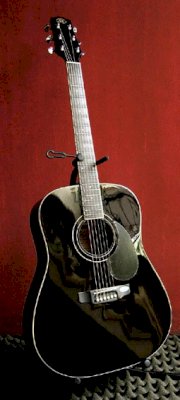 Acoustic Guitar Finest Q 170 Back