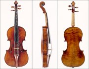 Violin 01