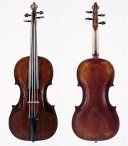 Violin Nga