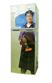 Tủ lạnh Electrolux ETB2300PB-PVN
