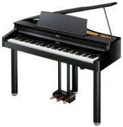 Roland Digital Piano RG-1F