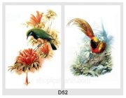 Loa tranh Chim & Hoa D52
