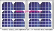 Pin năng lượng mặt trời TIDISUN - CP12W 12V