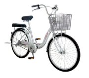 Xe đạp Mini Asama THL-2402