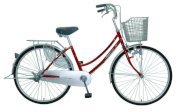 Xe đạp Mini Asama VH-B11