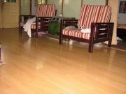 Sàn gỗ Pergo Universal Beech Plank PU 3508