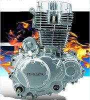 Động cơ xe máy Yinxiang NT300