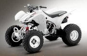 Honda ATV Sport TRX300R