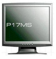 Princeton P17MS 17inch