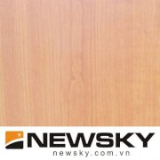 Sàn gỗ Newsky G402