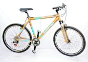 Xe đạp Mountain MASTER Voyager side XL (Đồng)