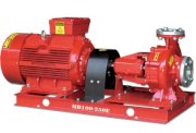 Máy bơm trục ngang TECO MB65-250E