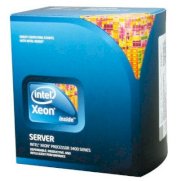 Intel Xeon Quad-Core X3440 ( 2.53Ghz, 8MB cache, Socket LGA1156, 2.5GT/s DMI)
