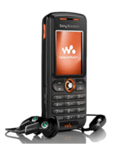 Sony Ericsson W200i Black