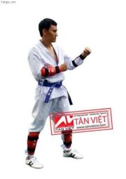 Võ phục Karate hiệu BLACK EAGLE-size(3)