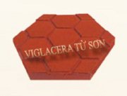 Gạch lục giác Viglacera Từ Sơn TS-GLG