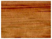 Sàn gỗ Newsky E501  (Long não Nhật Bản)