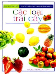 Các loại trái cây