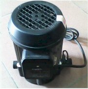 Bơm tự động cảm ứng từ PH 155A