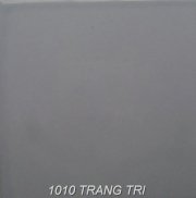 Gạch Đồng Tâm 101 trang trí