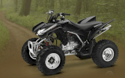 Honda ATV sport TRX250X 2012