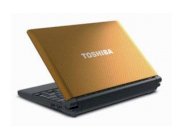 Toshiba NB505-1013 (Intel Atom N570 1.66GHz, 1GB RAM, 250GB HDD, VGA Intel GMA 3150, 10.1 inch, Windows 7 Starter)