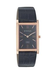 Đồng hồ Titan 1043WL02