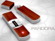 Pandora USB Flash Drive with Fingerprint Scan 4GB