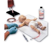 Mô hình thực tập các mạch máu ở trẻ sơ sinh Vata 1800